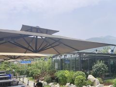 -蘇河湾·新鲁菜·泰山宴(泰山店)