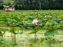 -古田会议纪念馆