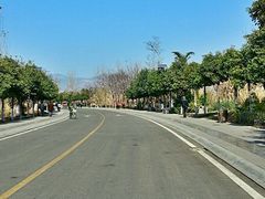 android_upload_pic-西昌邛海湿地