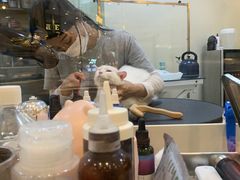 -momokira米努特·德文卷毛猫·棉花面纱犬