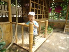 景点-观光南瓜园