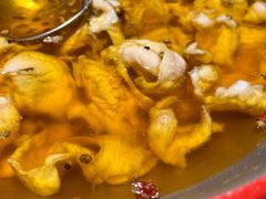 -雲蜀龙阁·金牌水煮鱼(方庄店)