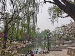 -万柳阁小馆·花园餐厅(龙潭湖店)