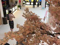 -汤里来温泉