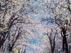 -阿坝州汶川特别旅游区