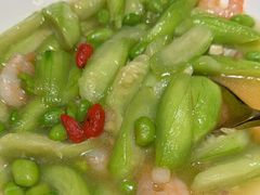 -秀儿四九城·新京菜(亚运村鸟巢店)