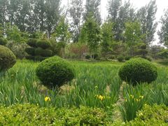 -燕郊植物园