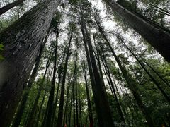 -波尔登森林公园