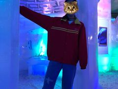 -世界之窗阿尔卑斯冰雪世界