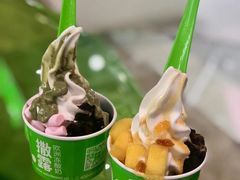 -Salud撒露欧洲冻酸奶(北苑上品店)