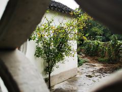 -雨花胜境