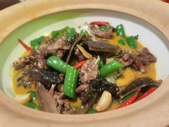 口味甲鱼-湘里乡亲甲王二老店