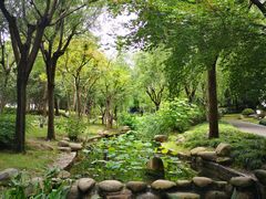 -陈家山荷花公园