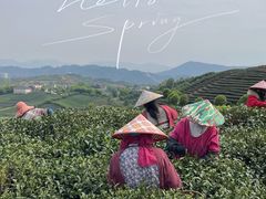 -龙坞茶村
