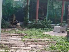 -南昌动物园