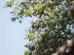 -颐和园