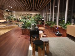 -Seesaw Coffee(朝阳大悦城店)