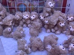 -可爱抓 COCO  GOTCHA(天津鹏欣水游城店)