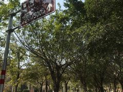 -草庵摩尼教遗址公园