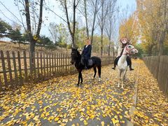 -丹世红酒庄·烧烤·团建·婚礼·水上运动