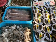 -大湾区中央湿地公园