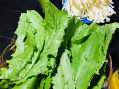 -陈三娃泡姜鸡(太白北路店)