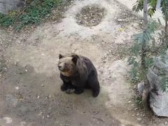 -石家庄市动物园