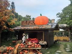 -HERRE·FARM 赫尔露营农场·团建聚会包场