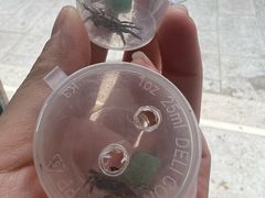 -中环花鸟鱼虫市场