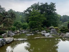 -东莞植物园