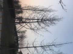 -府河摄影公园
