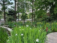 -成都市活水公园