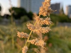 -秋水广场