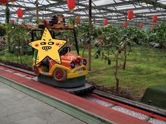 -南宫五洲植物乐园