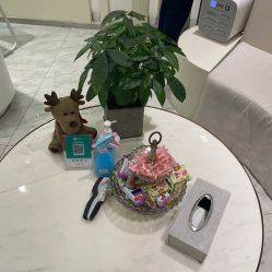 -健身堂科技美肌SPA
