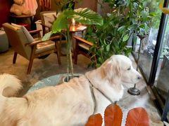 -咖法森林·咖啡  酒吧(天河店)