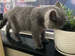 -美联众合动物医院(唯恩分院)