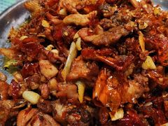 柴窝堡辣子鸡-柴窝堡辣子鸡(文艺路店)