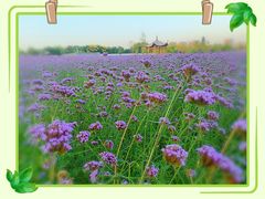 -杭州城北体育公园