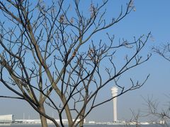 -上海吴淞炮台湾国家湿地公园