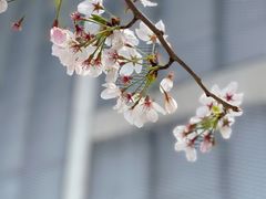 -龙美术馆(西岸馆)