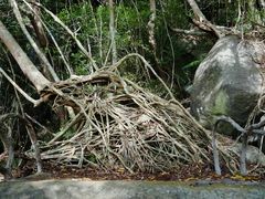 -七仙岭温泉国家森林公园