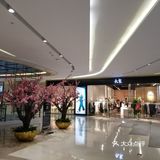 这里附近是老虹口和闸北的居民区