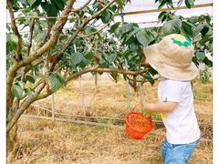 -前小桔亲子创意农场·草莓采摘·露营烧烤