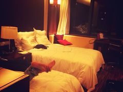 -上海龙之梦万丽酒店