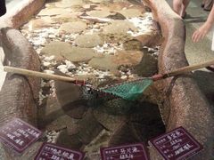 -郑庄脂渣海鲜楼(九水路店)