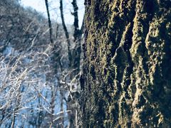 -终南山南五台景区