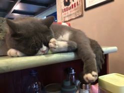 -男人味男士理发馆barbershop