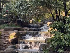 -中国茶叶博物馆(双峰馆区)