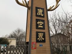 -北京鹿世界主题园